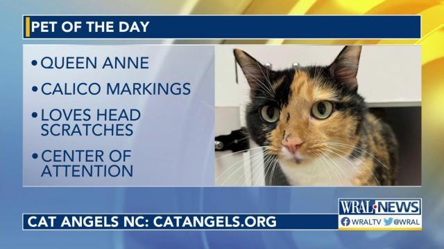 Pet of the Day: June 7