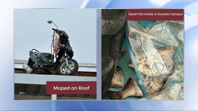 Dead fish, moped on roof: Students charged in NC high school senior pranks 
