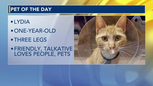 Pet of the day for June 8, 2023