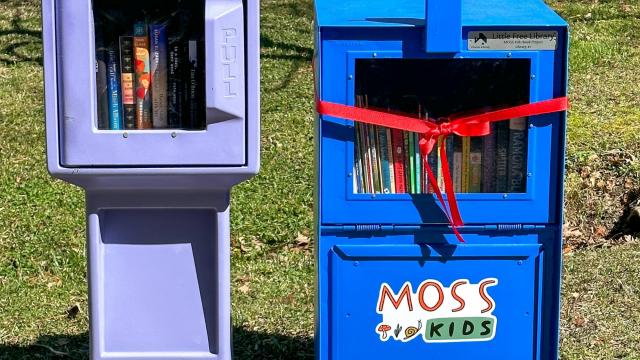 The MOSS Kids Book Project has created free little libraries in Edgecombe County