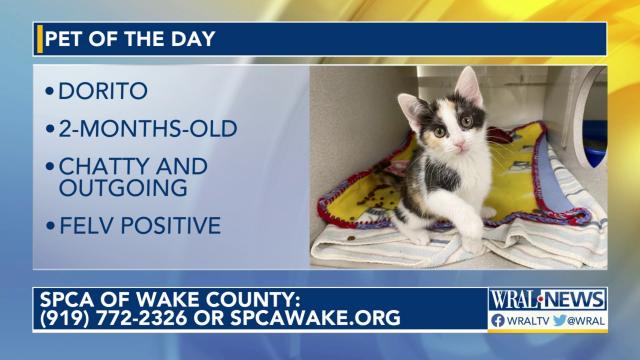 Pet of the Day for June 9, 2023