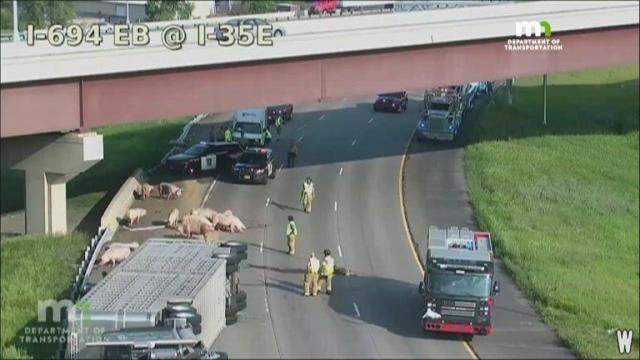 Pigs wander onto interstate after truck rolls over
