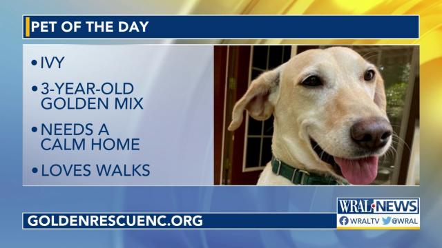 Pet of the Day: June 10, 2023
