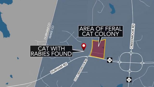 Rabies Outbreak in Wake Forest Neighborhood: Stray Cat Tests Positive, 6 People Exposed