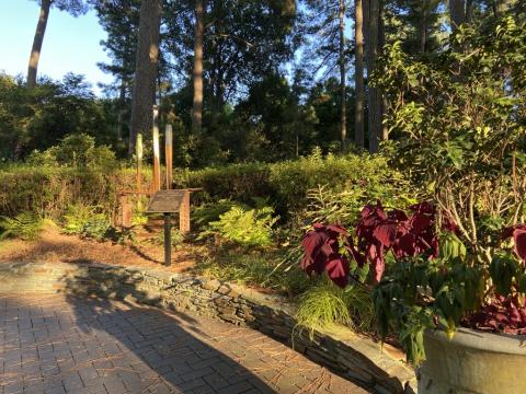 Beyond the azaleas: WRAL Azalea Garden brings community and nature together