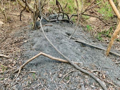 EPA to assess Chapel Hill coal ash site