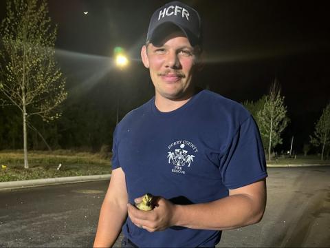 13 ducklings rescued by Horry County firefighters