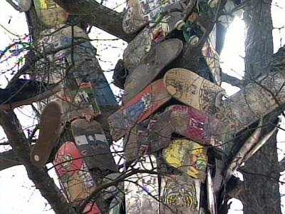 Skateboarders Take on City Over Self-Made Shrine