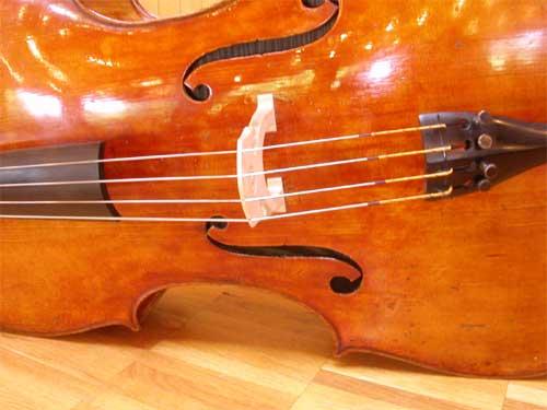 Ravishing Strings