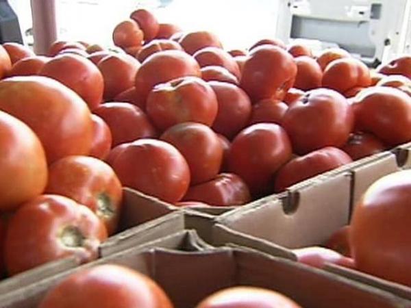 Tomato sales up at state Farmer's Market