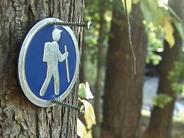 Woman reports sexual assault in Wake County park