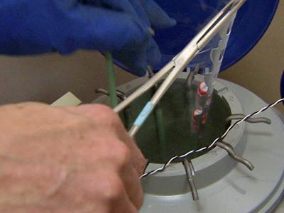 Couples face few options with unused frozen embryos