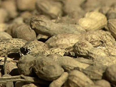 N.C. ag department orders inspections at peanut plants