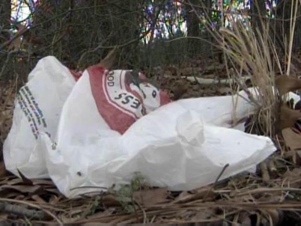Poll: Would you favor a plastic bag ban?