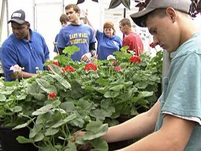 Students' plants sold for bargain prices