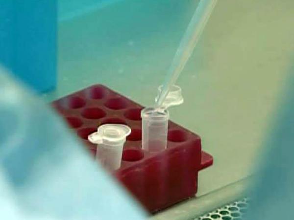 N.C. testing doesn't catch most swine flu cases