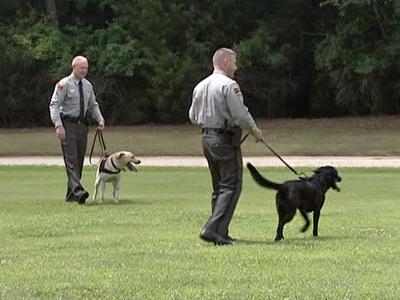 06/11/09: Highway Patrol starts new canine program