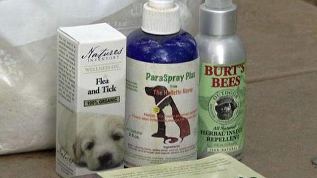 Getting rid of fleas without chemicals?