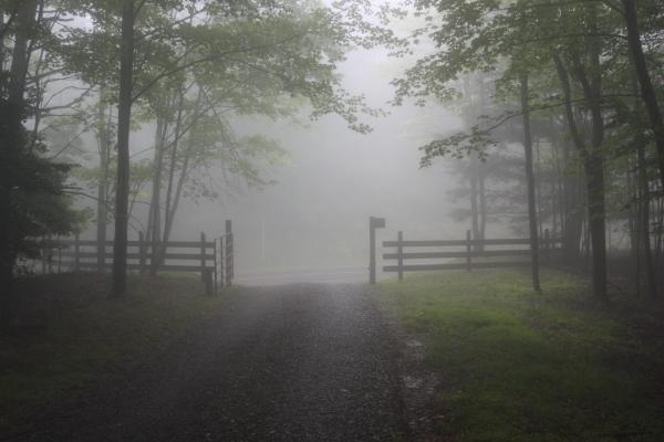 Bill Leslie’s fog pictures