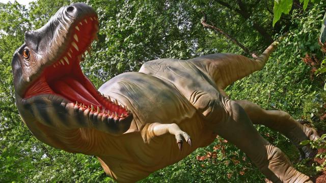 Dinosaur Trail celebrates first birthday