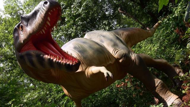 Dinosaur Trail Screensaver