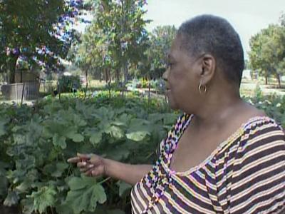 08/09: Community garden takes root in Fayetteville