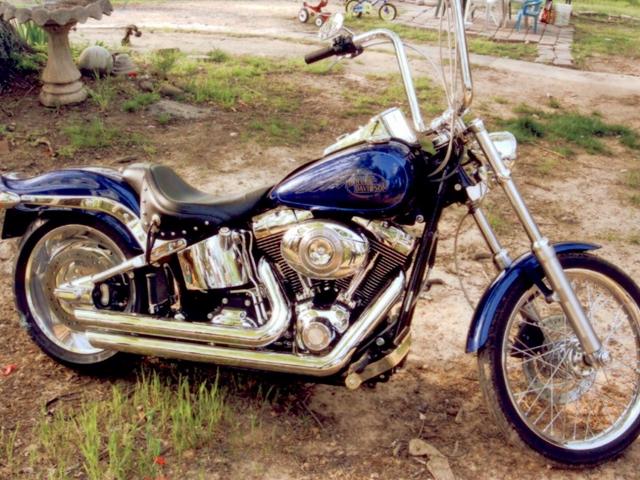 Stolen Harley Davidson motorcycle