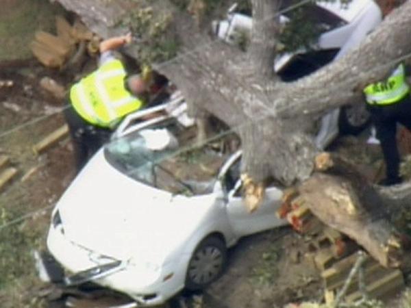 Man killed when tree crushes car