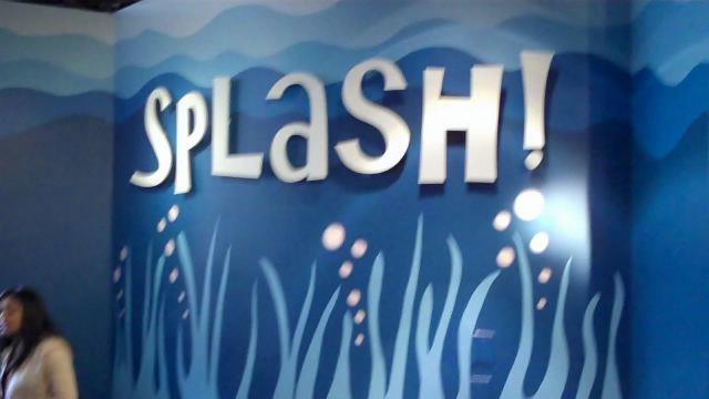 Splash! at Marbles