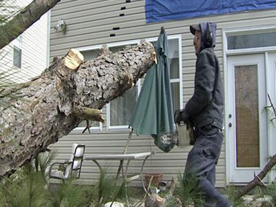 If a tree falls on your house, who is responsible? 