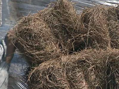 Some Raleigh homeowners feel safe with pine straw