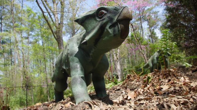 New dinos hit the trail at the Museum of Life and Science