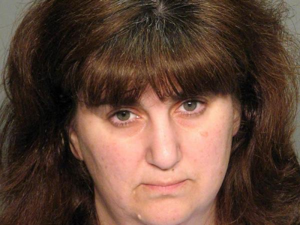 Michele Stein, Apex woman charged with child abuse
