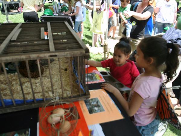 Akaiya Lizardi, 2, and Taysia Lizardi, 6, look at chickens, at the backyard chicken booth, during the Planet Earth celebration in downtown Raleigh.