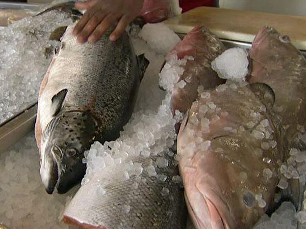 05/10: Oil spill may spur rise is seafood prices