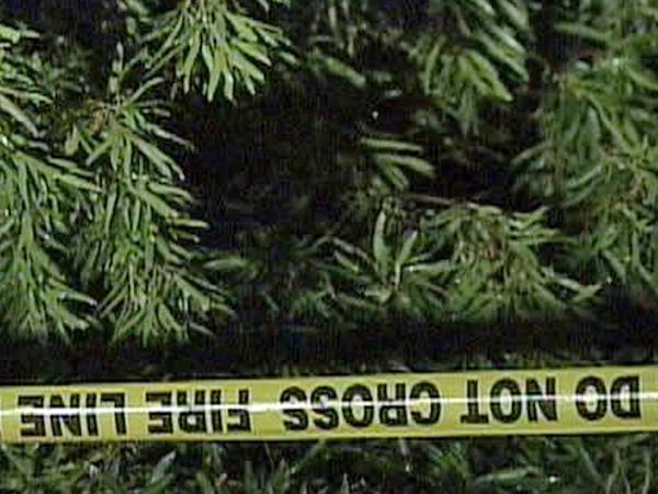 Tree falls, killing Wake County woman