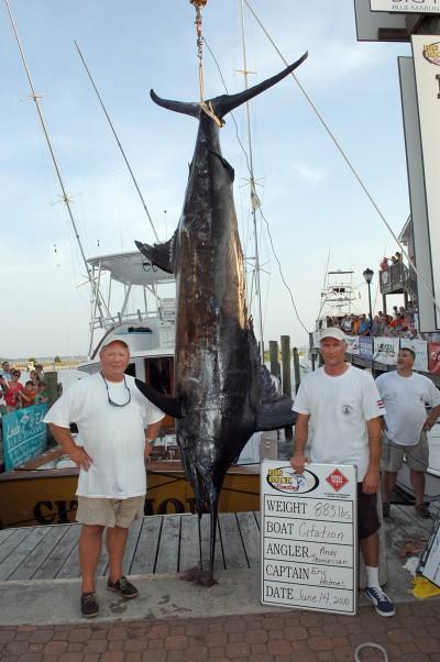 Citation's 883 pound marlin