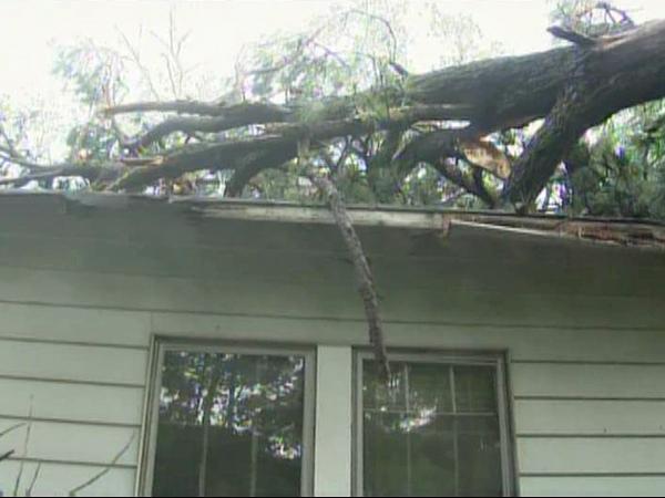 Tree crashes into Durham home