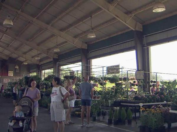 Covered stalls in high demand at Farmers Market