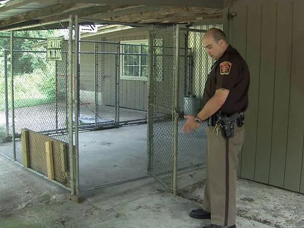 K9 dies after being let out of kennel