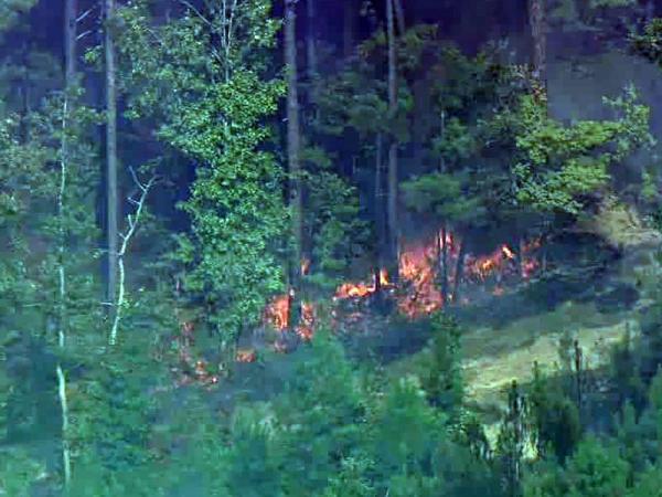 Dry, windy conditions feed brush fires