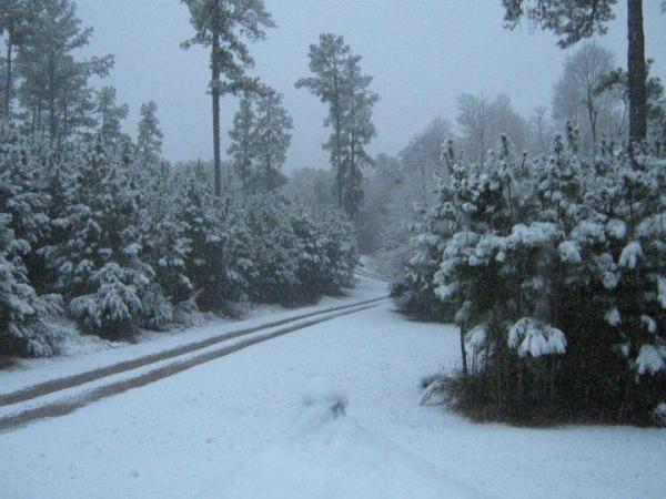 Winter weather, Dec. 4, 2010