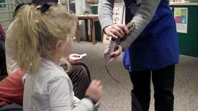 Destinations: N.C. Museum of Natural Sciences storytime