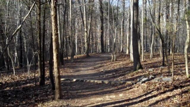 A trail at Eno River State Park.