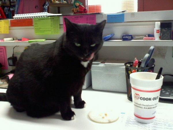 Lucy loves peach cobbler milkshakes from Cook-Out! Her mama is Lou Parker of Rocky Mount, NC