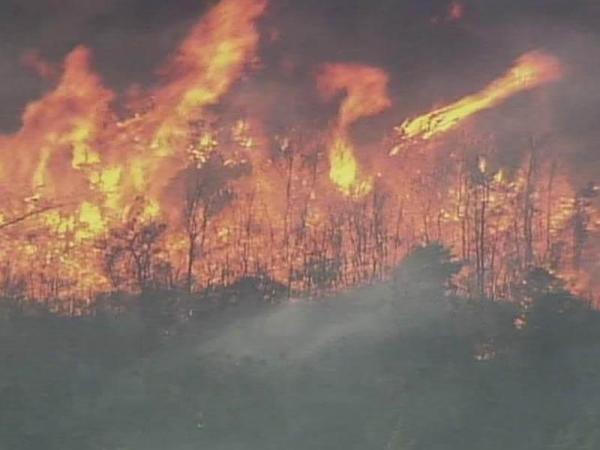Wildfire rages on nearly 1,000 acres in Cumberland County