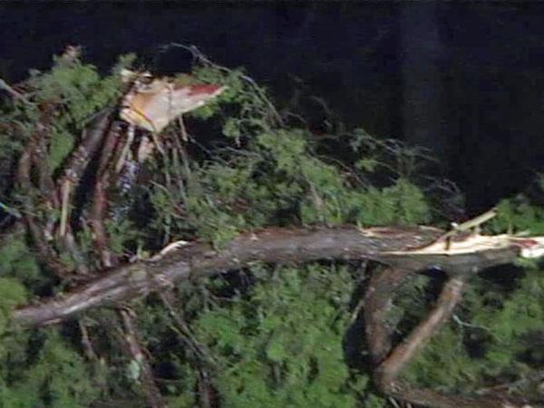 03/07: Weak tornadoes hit Rolesville, Stantonsburg