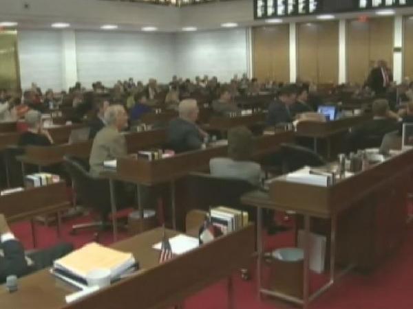 House debates state budget (afternoon session)