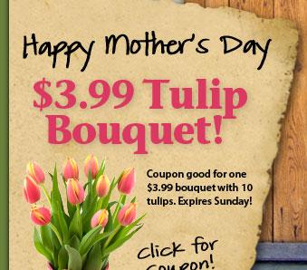 Earth Fare tulip coupon