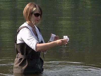 Counties test lakes for bacteria, decide closures 